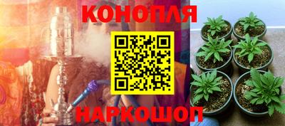 шишки Рязань