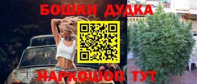 молекула духа Рузаевка